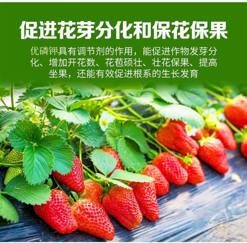 高磷高钾型液体磷钾精磷酸二氢钾大量元素水溶肥叶面肥转色膨果