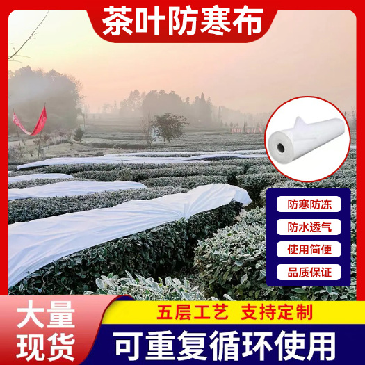 长沙植物柑橘果树茶叶寒布保温布防水透气防冻育苗农用防霜布厂家直销