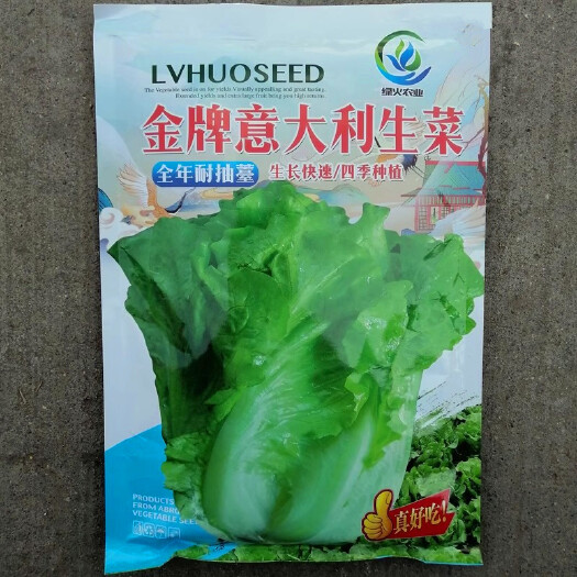 洛阳意大利耐抽苔生菜种子，半结球生菜种子，大田基地用生菜品种
