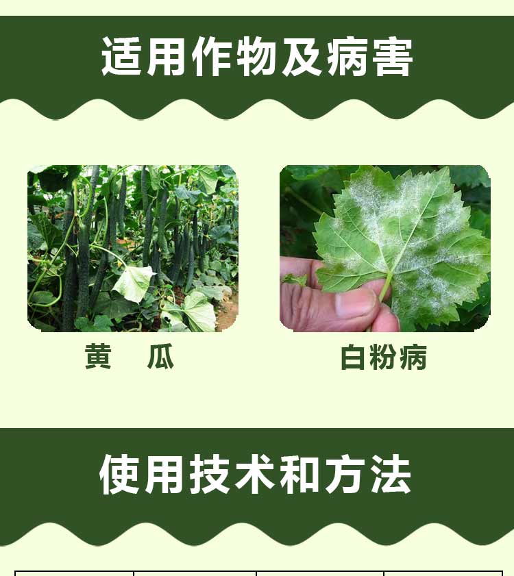 杀菌剂32%苯甲吡唑酯斑点病害炭疽病霜霉病白粉病真菌病害