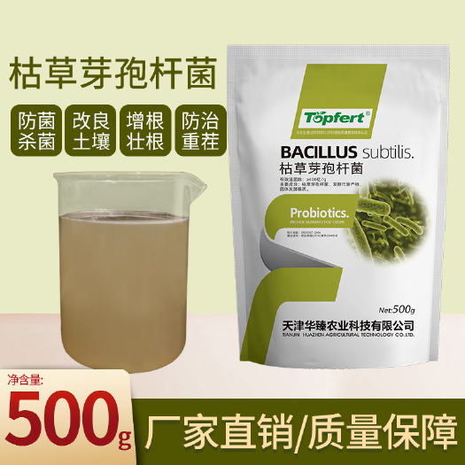 枯草芽孢杆菌400亿高水溶防治根腐姜瘟抗重茬促生根