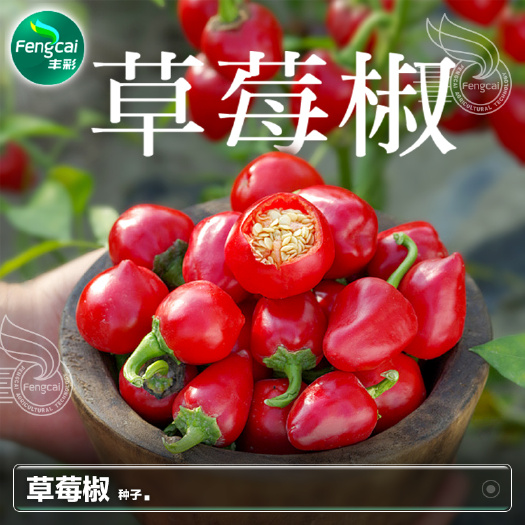 绵阳草莓椒种子 辣椒杂交种 单生珠子型朝天椒新品种