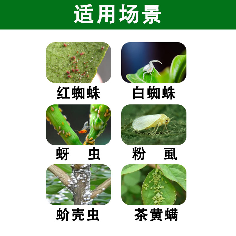 杀虫剂99%矿物油红蜘蛛白蜘蛛茶黄螨蚧壳虫蚜虫粉虱果树花卉用