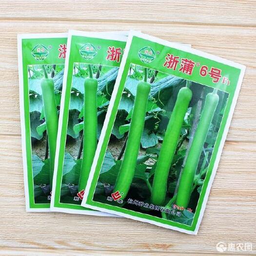 建瓯市浙蒲6号瓠瓜种子，浙蒲9号，长短瓠种子，耐低温，抗病强