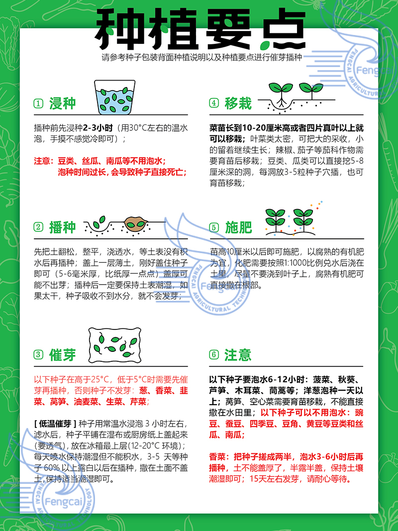 原种上海青种子 四季均可种植 抗热耐寒