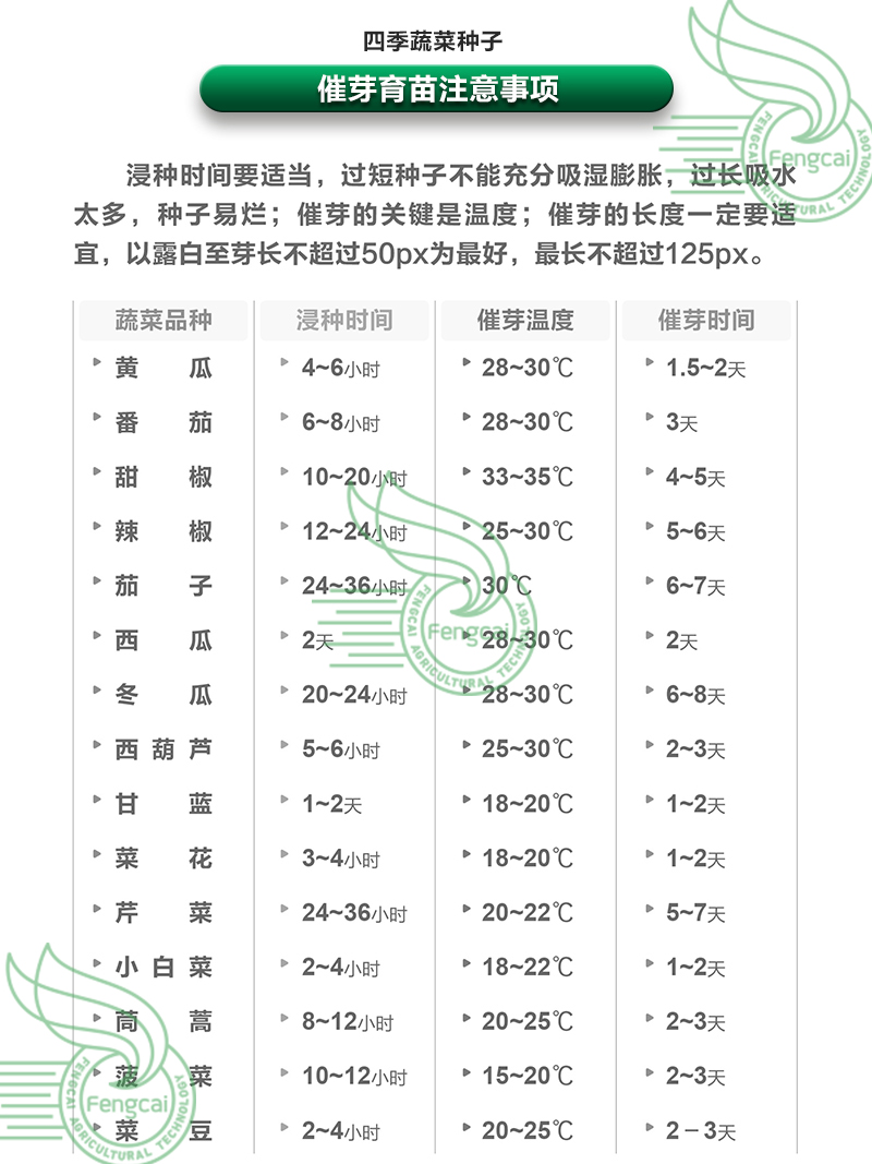 原种上海青种子 四季均可种植 抗热耐寒