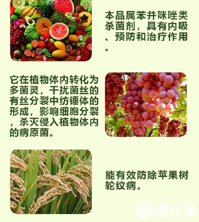 70%甲基硫菌灵杀菌剂轮纹病纹枯病黑斑病白粉病黑星病赤霉病等