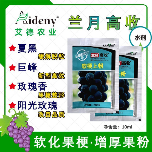 昌乐县海藻肥  兰月高收 葡萄软梗上粉夏黑巨峰阳光玫瑰醉金香用果梗