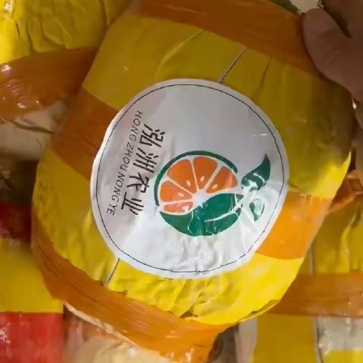 乐东县海南精品泰八