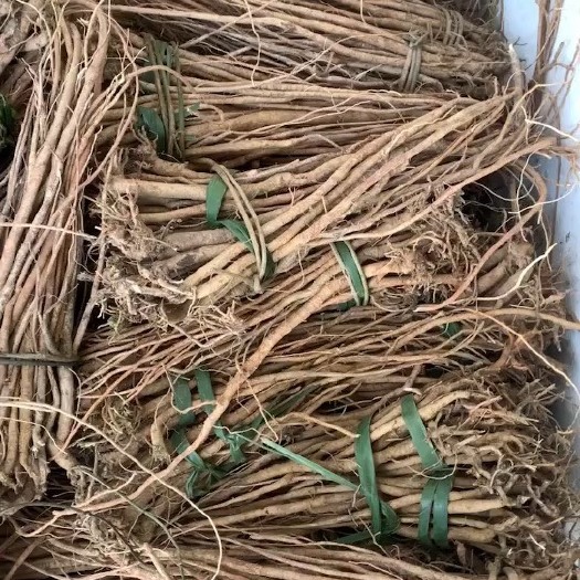 连南县新鲜小叶千斤拔，深山品质
