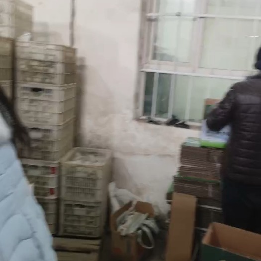 南宫市库尔勒香梨副特级
