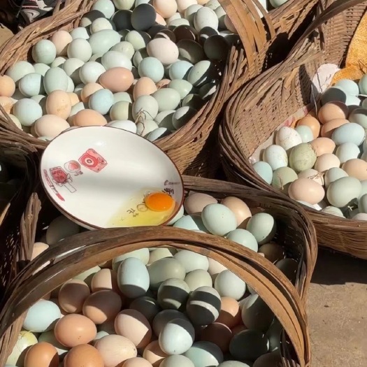 京山市(全国包邮)毛重45斤 高山散养土鸡蛋粉绿混装精品土鸡蛋