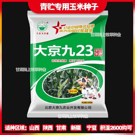 兰州青饲两用玉米种子大京九23抗旱抗倒耐高温长杆高杆产量高