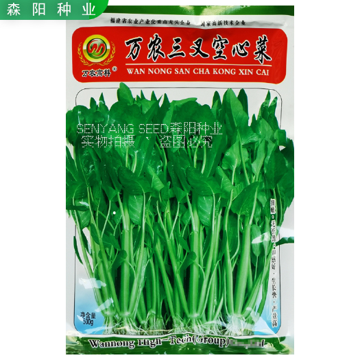 万农三叉空心菜种子四季高产大叶空心菜超霸三叉空心菜阳台盆栽菜