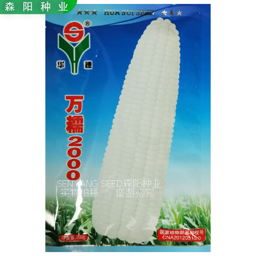 华穗万糯2000玉米种子白色中熟鲜食糯玉米中糯二号美玉27号