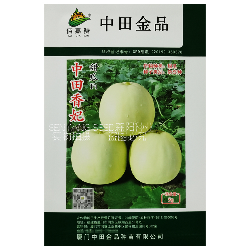 中田金品薄皮甜瓜种子中田香妃春秋季玉奶香哈密香瓜甜宝千玉30