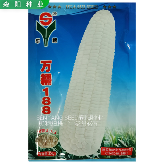 华穗万糯188玉米种子中熟白甜糯鲜食玉米中糯二号美玉27农科