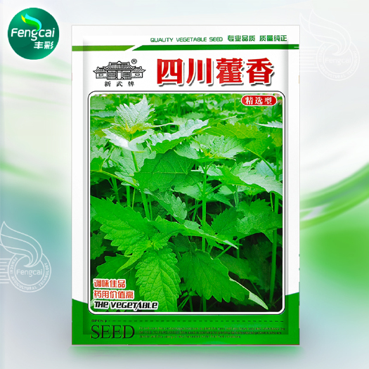 四川藿香种子 鱼香草种籽  调味佳品 药用价值高