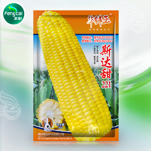 绵阳斯达甜211水果玉米杂交种 鲜食玉米种籽 甜质型