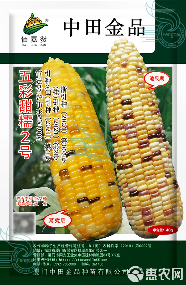 中田金品 五彩甜糯2号玉米种子 佰嘉赞