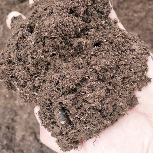 天津绿化腐殖土合成泥炭土草炭土大量现货