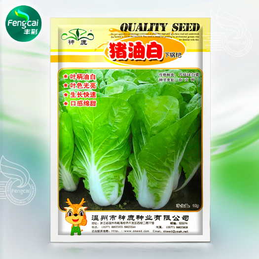 绵阳神鹿 猪油白下锅耙种子 早熟五号种籽 不接球白菜杂交种