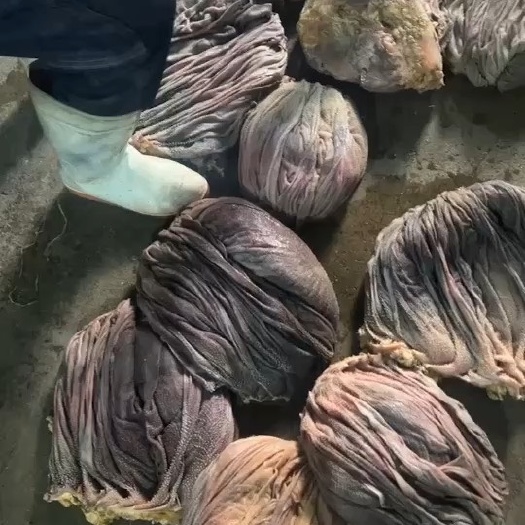 黄牛鲜百叶