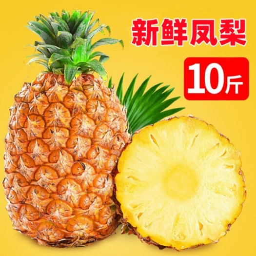 海口云南凤梨海南金钻凤梨5斤装一件代发