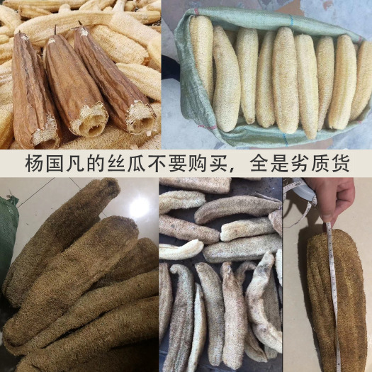 宜城市丝瓜络，杨国凡的丝瓜全是劣质货，没信誉的劣质商家。