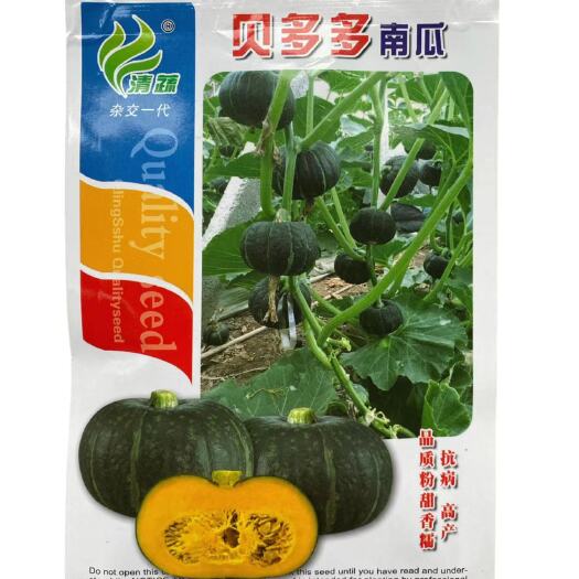 英德市小贝贝多多南瓜种子日本板栗蔬菜四季苗香甜春秋种籽孑