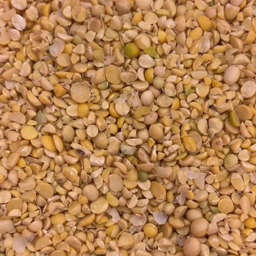 郓城县碎大豆 上地养殖肥料豆 榨油压饼豆 膨化豆