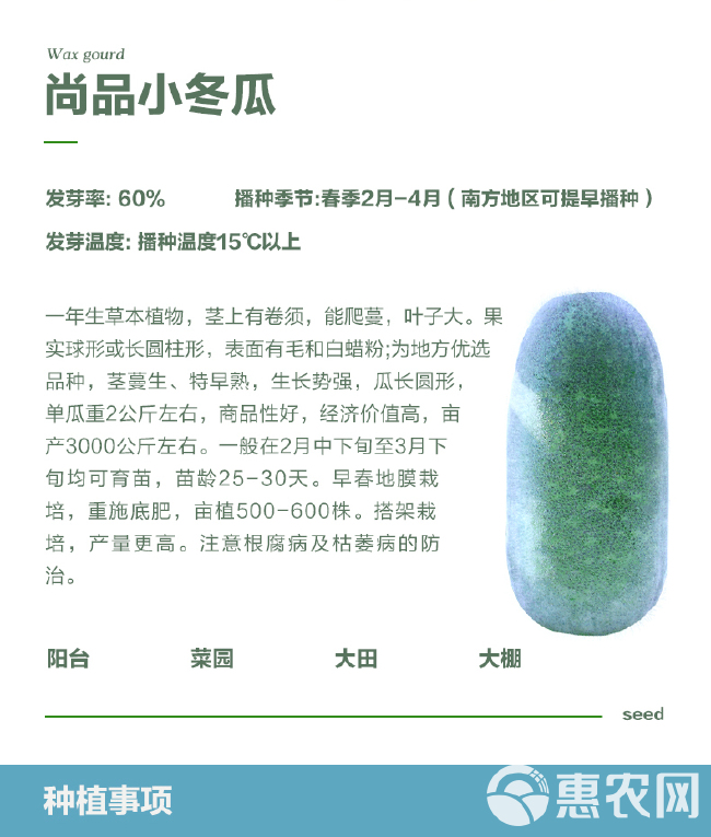 迷你小冬瓜种子 单瓜重2公斤左右，亩产3000公斤左右