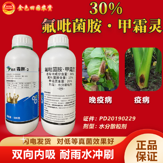 烟台迅勇霜颜氟吡菌胺甲霜灵芋头疫病马铃薯晚疫病低等真菌农用杀菌剂