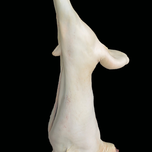 带皮羊肉带皮白条羊带皮盐池滩羊肉羊肉
