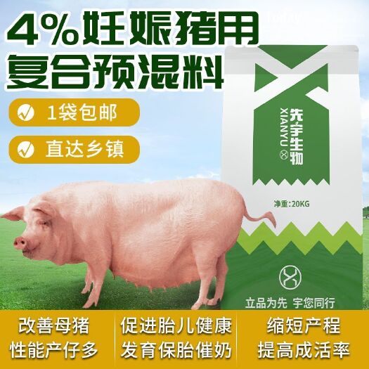 诸城市妊娠猪专用预混料猪乳料繁殖期专用妊娠怀孕期猪饲料保胎催奶