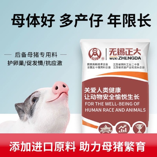 长沙正大猪饲料10%后备母猪料饲料添加剂玉米豆粕混合饲料预混料