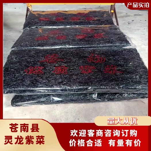 头水紫菜 苍南产地直发 工厂直销 无中间商