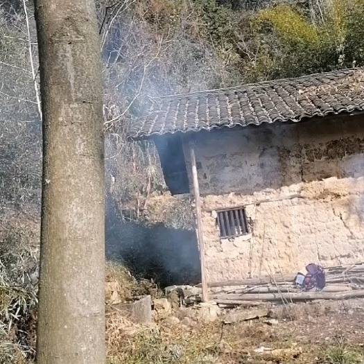 宜昌山地免费提供发展
