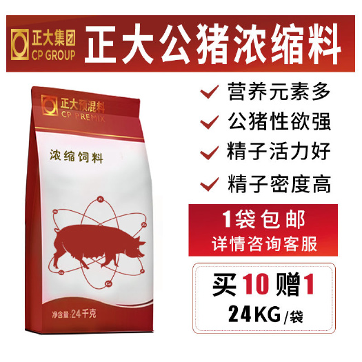 诸城市正大种公猪浓缩料 公猪料 种猪料 正大浓缩料