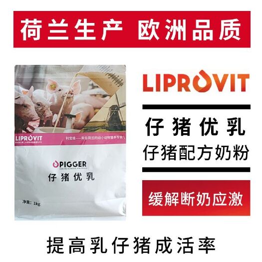 诸城市猪奶粉乳仔猪代乳粉下生当天就可以用荷兰爱喝不拉稀成活率高