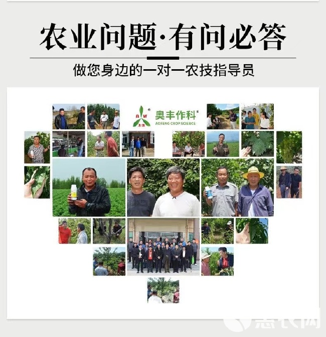 奥丰缓释腐植酸缓释增效改良土壤保水保肥农用腐植酸