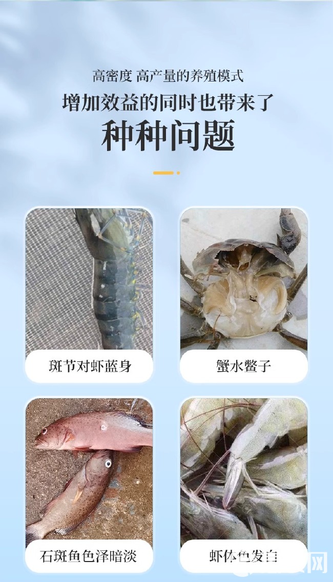 虾青素水产用南美对虾海参甲鱼亮体诱食保苗育苗抗应激促生长