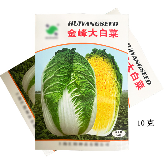 金峰大白菜春季黄心白菜种子10g春秋两用早熟黄芯大白菜种籽子