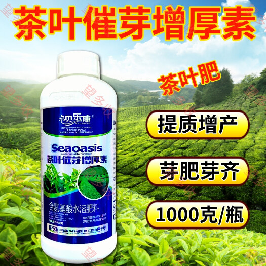 潍坊茶叶催芽增厚素1000克生根生芽早发芽快芽浓绿