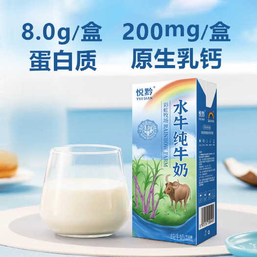 广西水牛奶200ml*10盒高钙蛋白纯牛奶吃甘蔗的营养儿童学