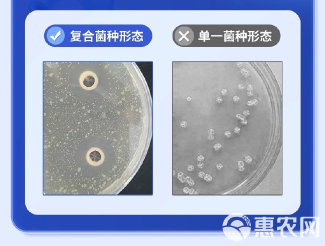 养殖em菌种水产原液种植em饲料猪牛羊鸡粪有机肥发酵剂原种菌