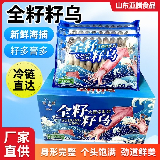 济南海兔
