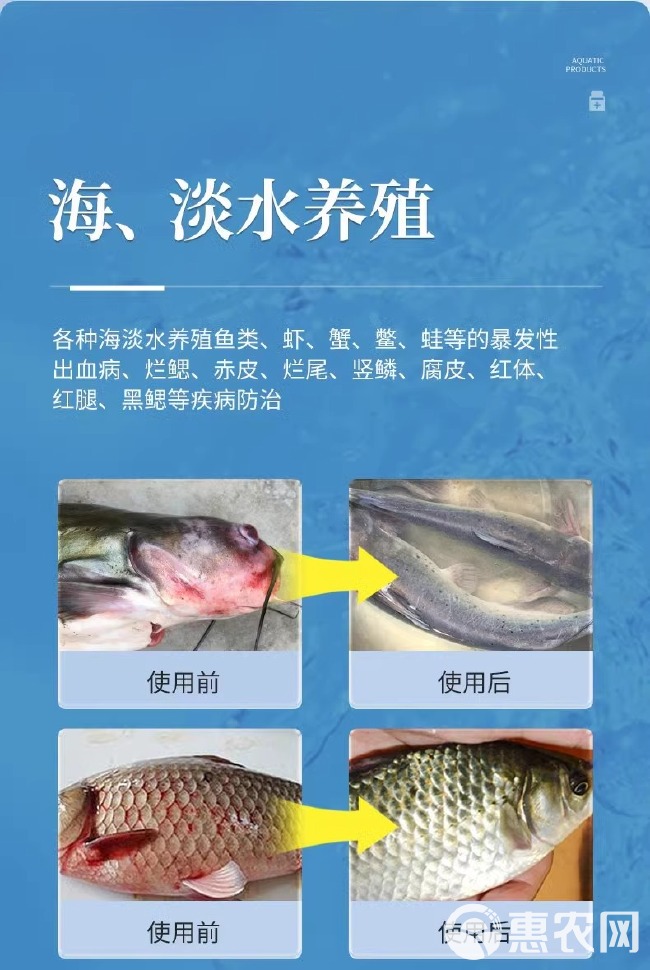 水产专用浓戊二醛苯扎溴铵溶液杀菌消毒消毒剂