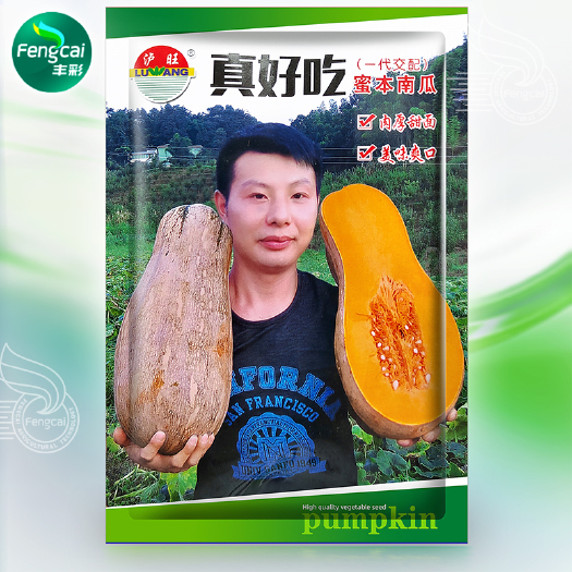 绵阳蜜本南瓜种子 肉厚甜面真好吃 单瓜重3.5-6公斤
