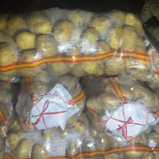 张北县西森6号4俩起步